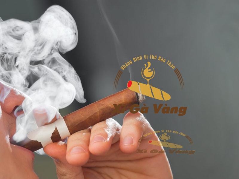 Giai đoạn cuối khi thưởng thức Davidoff Signature Petit Corona